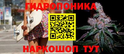 хмурый Обь