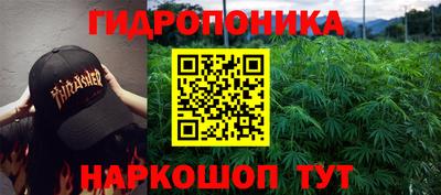 хмурый Обь
