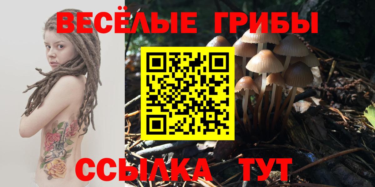 Псилоцибиновые грибы GOLDEN TEACHER  Псилоцибиновые грибы мицелий  Вход с VPN  Новоуральск 