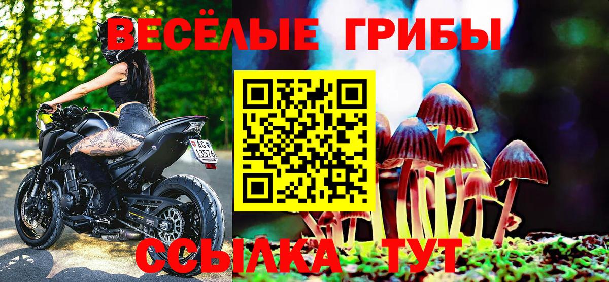 Псилоцибиновые грибы MAGIC MUSHROOMS Новоуральск